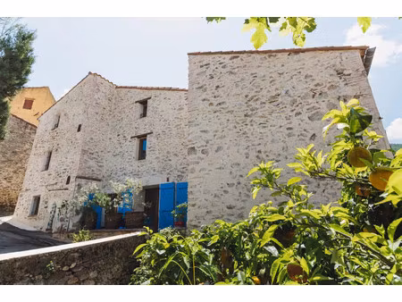 maison de luxe à vendre à montesquieu-des-albères