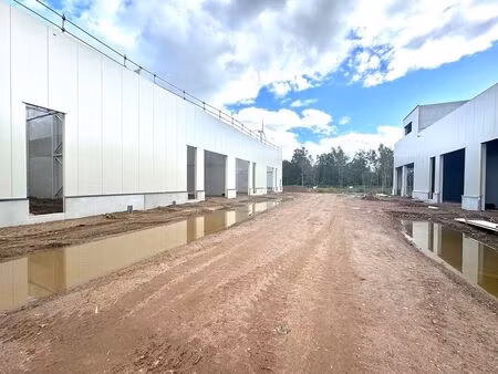 bien professionnel à vendre à genk € 275.000 (lelbi) - next-invest | zimmo