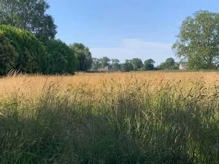 terrain à bâtir - sup. 24a 95ca