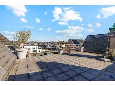appartement spacieux et clé sur porte à blaasveld avec 2 ter