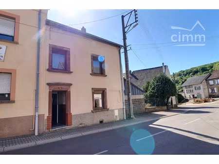 vente maison 4 pièces 119 m² alsting (57515)