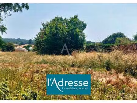 vente terrain à saint-gervais (85230) : à vendre / 483m² saint-gervais