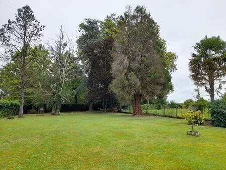 vente terrain 1000 m² oloron-sainte-marie (64400)