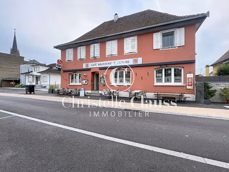 vente immeuble 355 m² village-neuf (68128)
