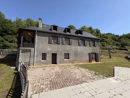 vente maison 11 pièces 200 m² aucun (65400)