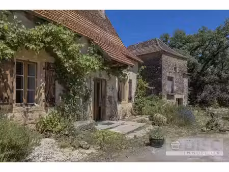 charmant ensemble avec petite maison et dépendances.