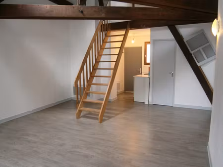 t1bis duplex- 55 rue mégevand