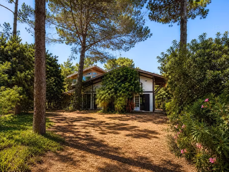 maison de luxe à vendre dans le quartier centre cap ferret