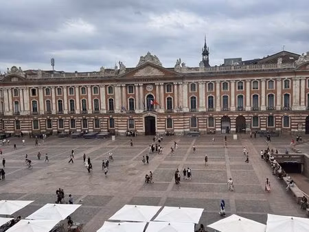 immobilier professionnel à louer toulouse