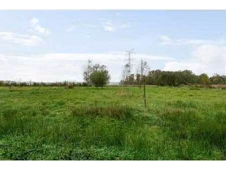 terrain agricole