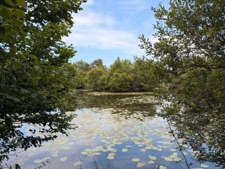 vente terrain à saint-congard (56140) : à vendre / 13290m² saint-congard