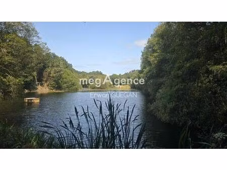 la tranquillité absolue avec un étang d' un hectare et maison de plain-pied