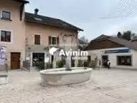 vente commerce saint genis pouilly 01630 204m²