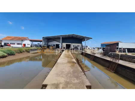 vente locaux professionnels 2260 m² à arvert (17530)  137 150 €