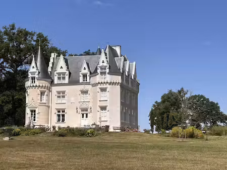 vente château 8 pièces 300 m² à genillé (37460)  1 600 000 €