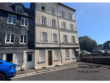 appartement duplex de charme au coeur de ville