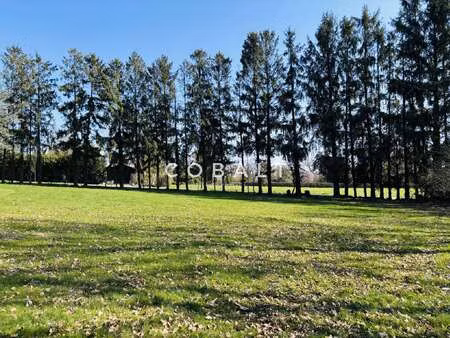 vente terrain à guémené-penfao (44290) : à vendre / guémené-penfao