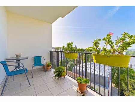 nogent sur marne - appartement 3 pièces 80 m2