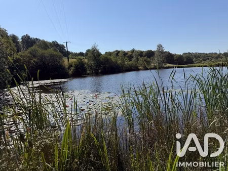 vente terrain 43 080 m²