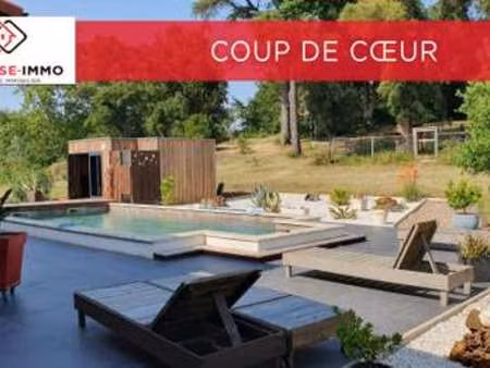 vente maison piscine à escource (40210) : à vendre piscine / 141m² escource