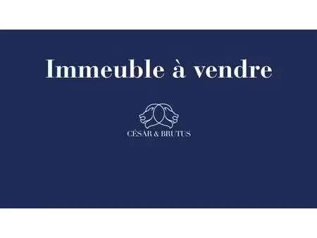 prestigieux immeuble de rapport en vente à saint-étienne  auvergne-rhône-alpes