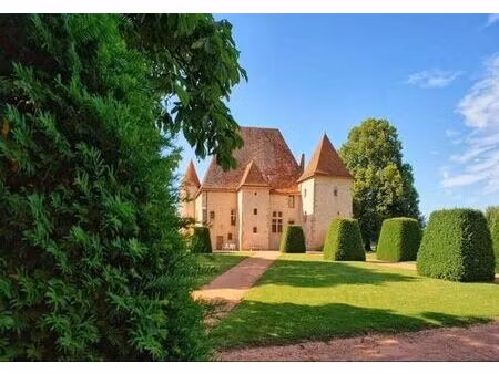 palais de 500 m² en vente avermes  france