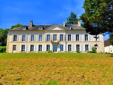 prestigieux château de 550 m2 en vente - challuy  bourgogne-franche-comté