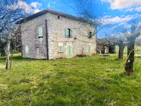 achat maison 7 pièces 162m² bruniquel 82800
