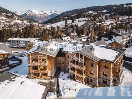 appartement t2 + coin montagne
