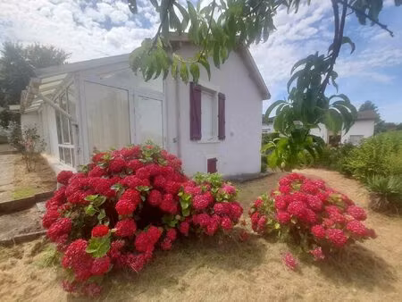 achat maison 3 pièces 60m² belleville 54940