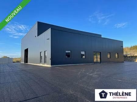 vente local d’activités meze 34140 600m²