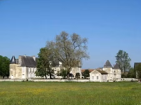 prestigieux château en vente poitiers  nouvelle-aquitaine