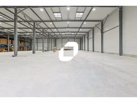 vente local d’activités saint pathus 77178 4000m²