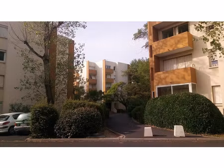 location appartement 1 pièce 21 m² à montpellier (34000)