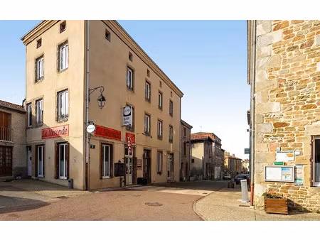 vente immeuble 270 m² néronde (42510)