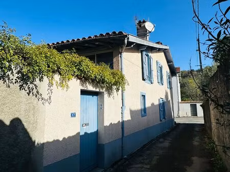 grande maison avec jardin arboré centre ville saint girons