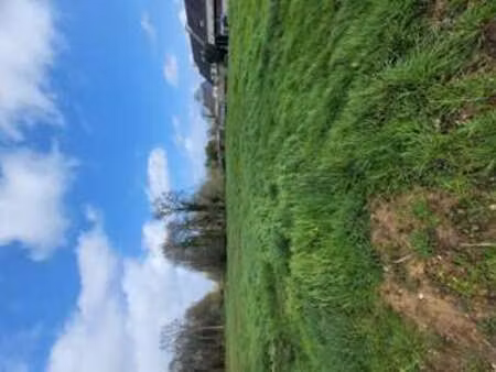 vente terrain à argentré-du-plessis (35370) : à vendre / argentré-du-plessis