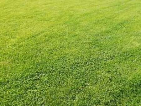 vente terrain à binic-etables-sur-mer (22680) : à vendre / binic-etables-sur-mer