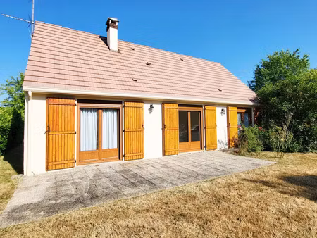 vente maison 3 pièces 111 m² châtillon-coligny (45230)