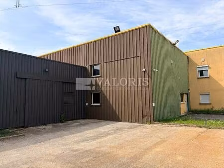 vente local d’activités beynost 01700 602m²