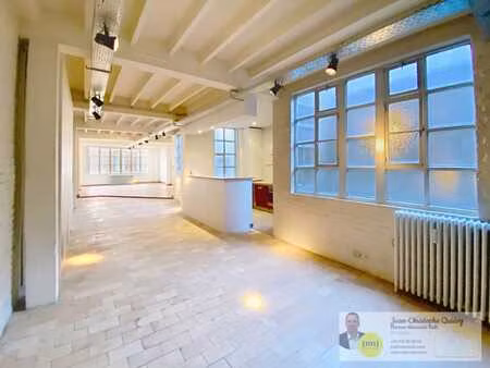 magnifique loft 2 chambres