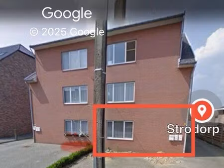 appartement à louer à veldwezelt € 895 (k5vp6) - | zimmo