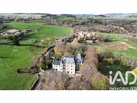 vente maison 22 pièces 580 m² ardes (63420)