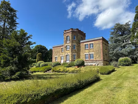 hôtel particulier à vendre belforêt-en-perche