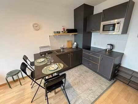 appartement meublé avec 1 chambre  terrasse et parking