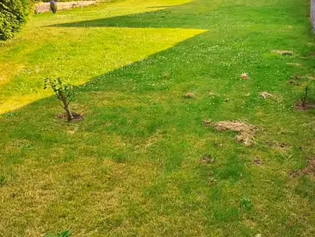 terrain 556m² à liège  idéal projet de construction
