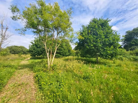 terrain à vendre crozon 14090m2 75 450€