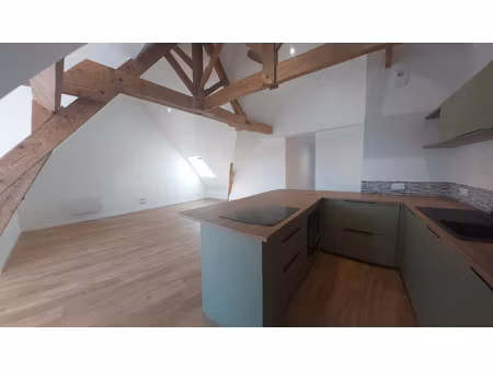 appartement de caractère rénové 2 pièces 60m2 - chateau gont