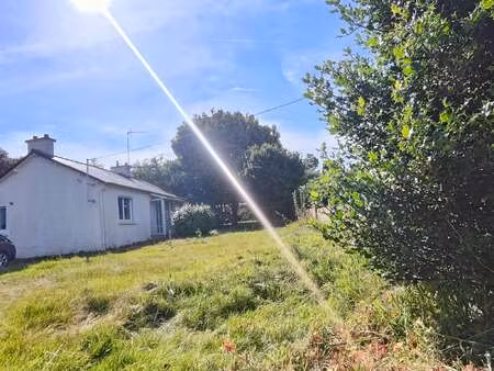location maison colocation à minihy-tréguier (22220) : à louer colocation / 81m² minihy-tr