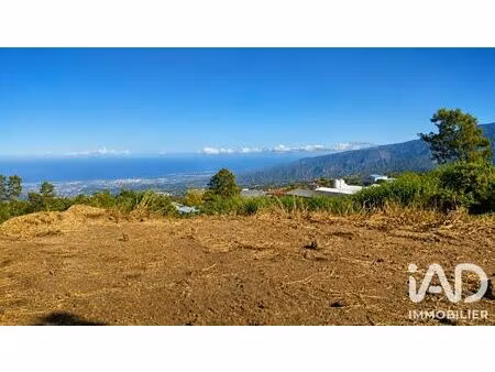 terrain à le tampon (97418)